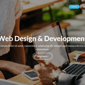Web Development WordPress Theme