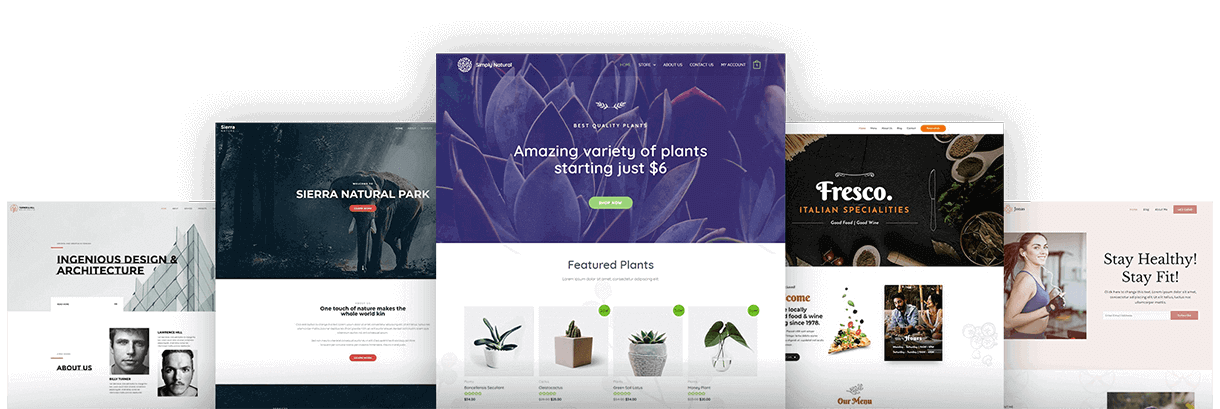 Astra WordPress Theme - Image 6